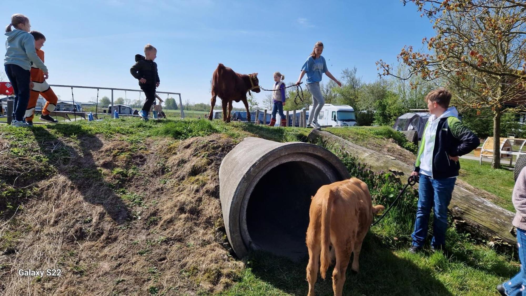 De Broodkist Villa Koudekerke Eksteriør bilde